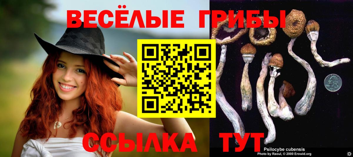 Галлюциногенные грибы мухоморы Топки