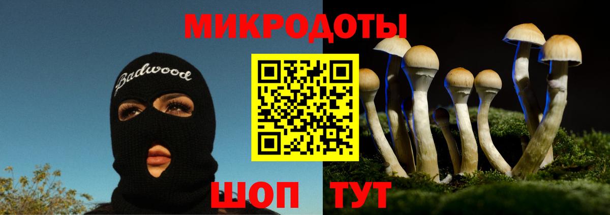 Галлюциногенные грибы мицелий  Вход с VPN  Топки  Галлюциногенные грибы ЛСД 